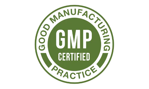 GMP Standards